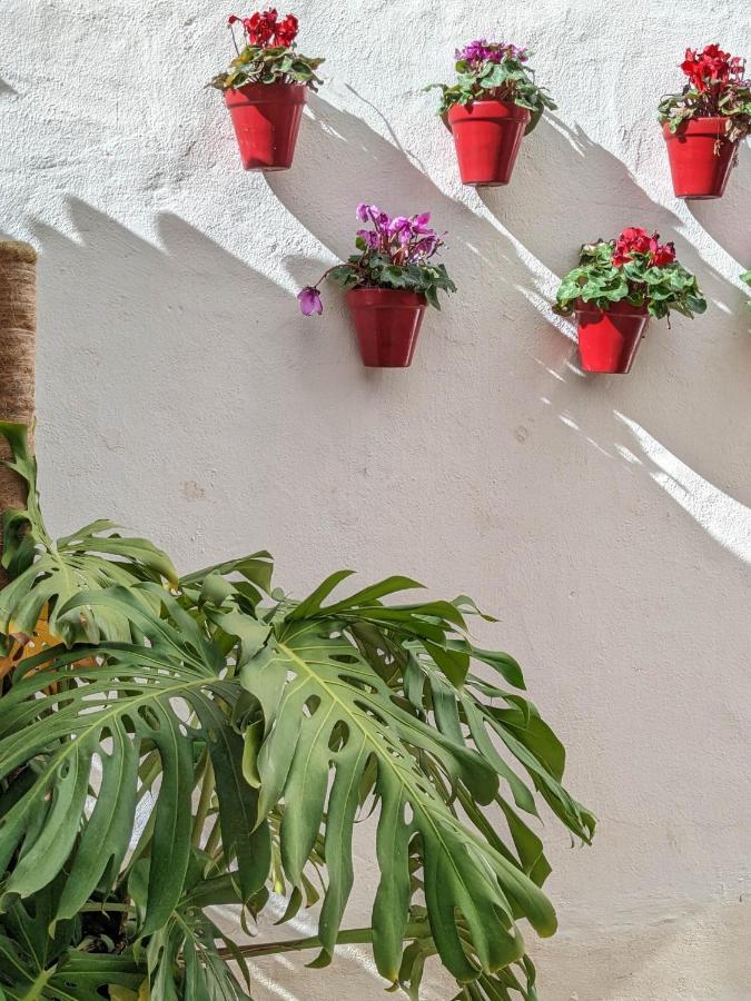 Harbor Getaway In The Heart Of Puerto Banus With Walking Dictance To Everything Marbella Buitenkant foto